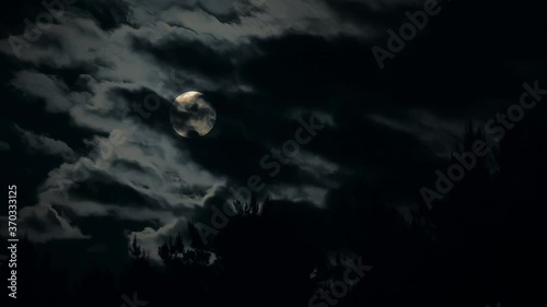 Moon night forest mystic branch dark blue tree danger wolf