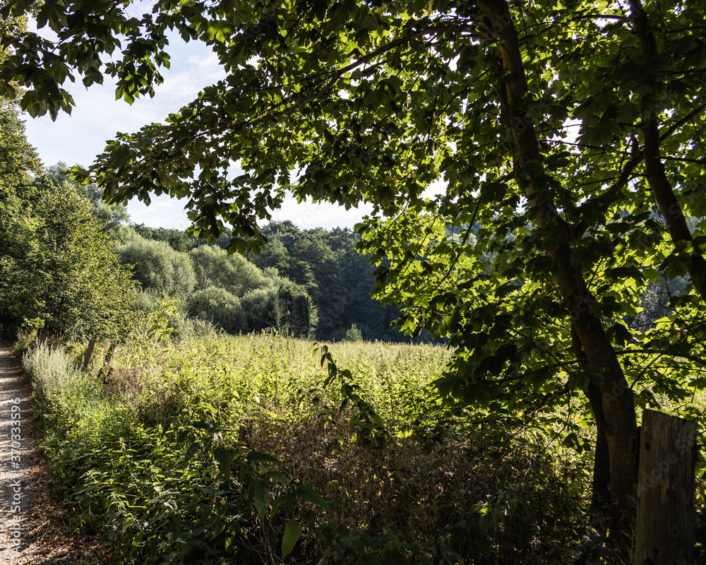 Fototapeta premium View to tjhe wildlife sanctuary Hahnheide