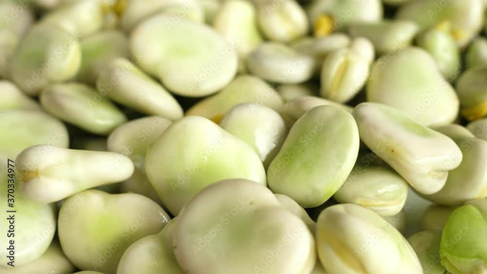 rotating broad beans green fresh turning round rotating broad beans green fresh turning round