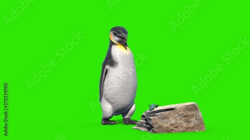 Penguin Eats Green Screen 3D Rendering Animation 4K