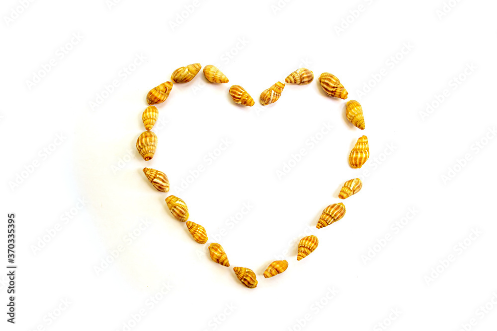 Obraz premium Heart of small seashells on a white background
