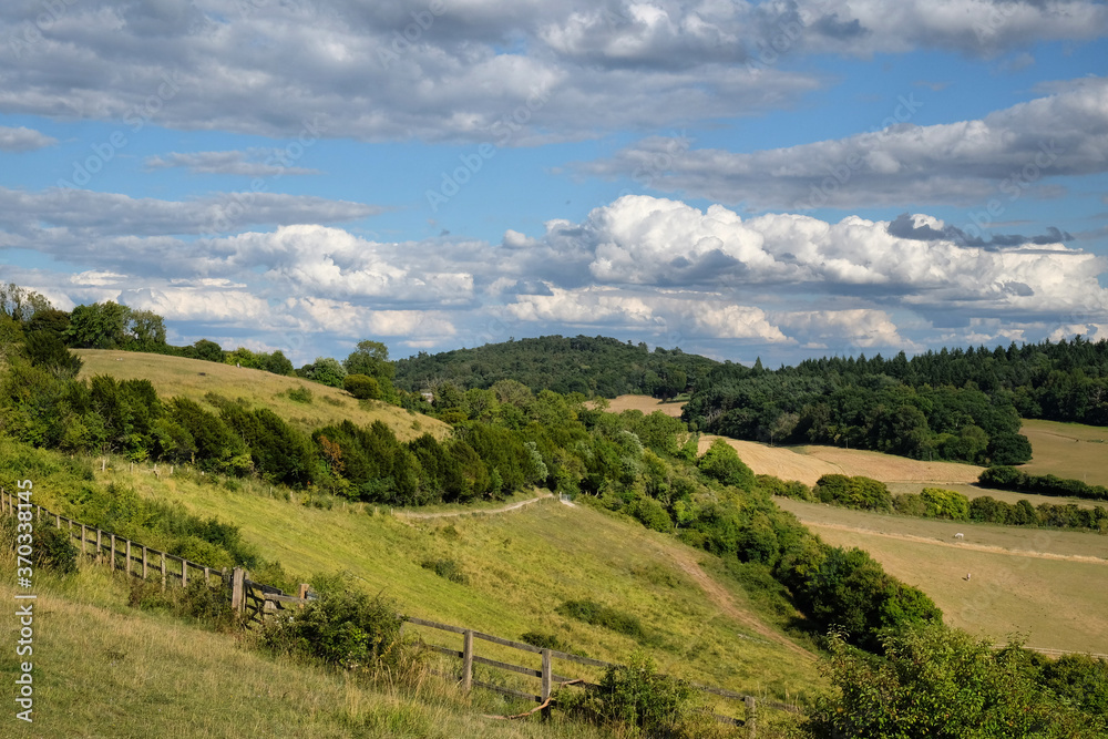 Obraz premium Pewley Down in Guildford, Surrey, part of the North Downs Way.