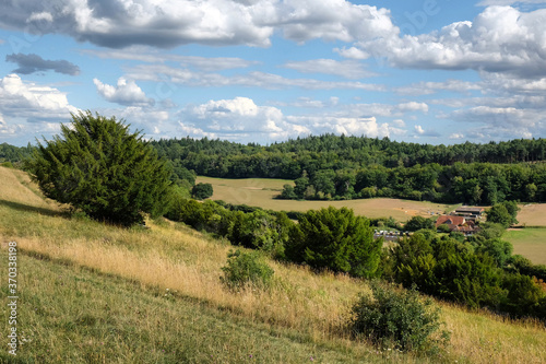 Wallpaper Mural Pewley Down in Guildford, Surrey, part of the North Downs Way. Torontodigital.ca