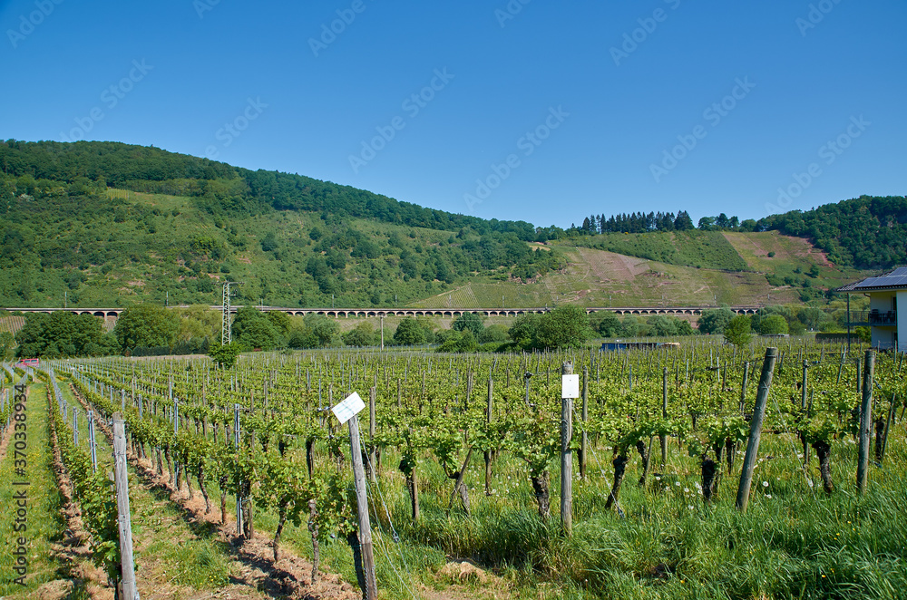 Fototapeta premium Punderich viadukt on the mosel