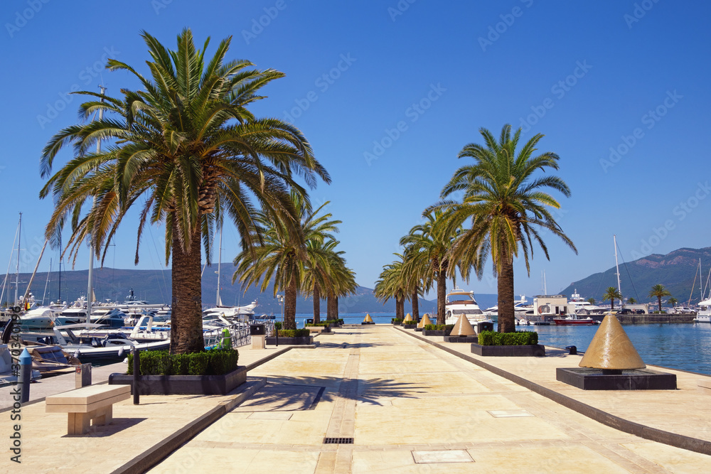 View of yacht marina of Porto Montenegro on sunny summer day.  Montenegro, Tivat city