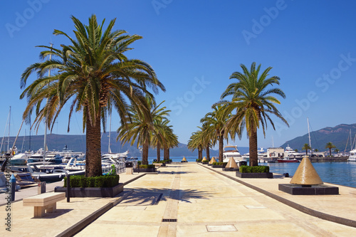 View of yacht marina of Porto Montenegro on sunny summer day.  Montenegro  Tivat city