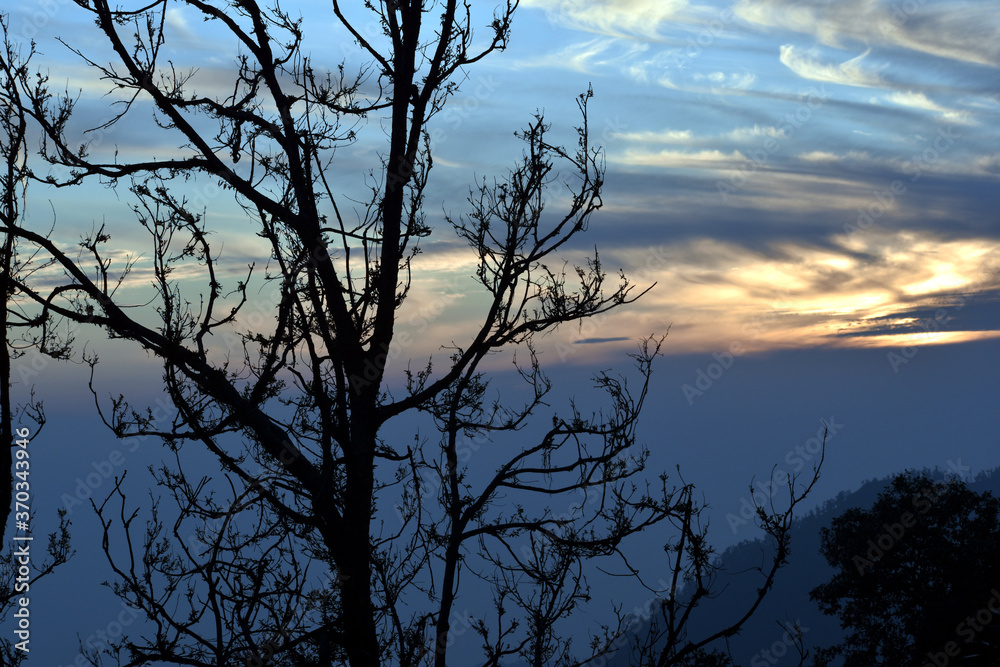 Beautiful picture of sunset and trees in mountain Uttarakhand Beautiful picture of sunset and trees in mountain Uttarakhand