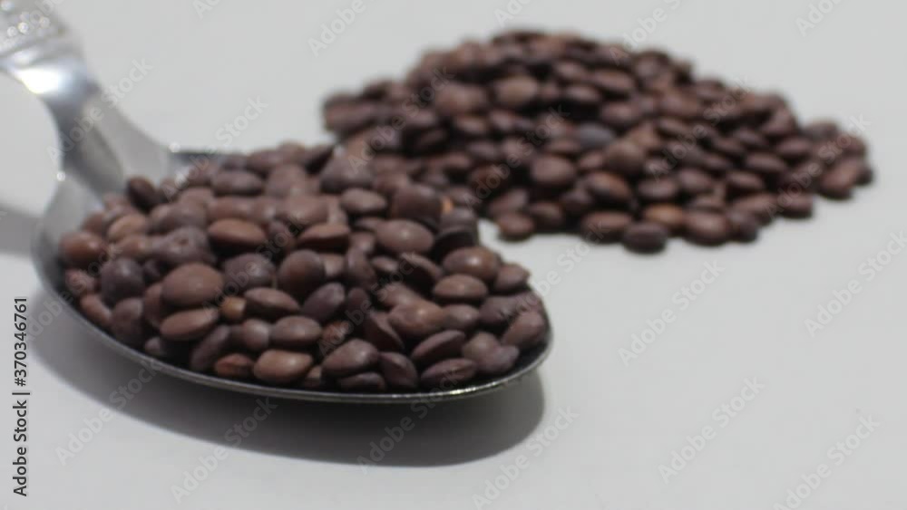 Black Lentil on white background Black Lentil on white background