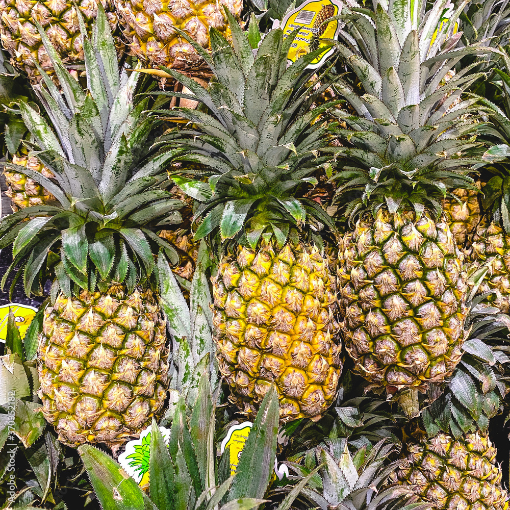 ripe pineapple on the market ripe pineapple on the market