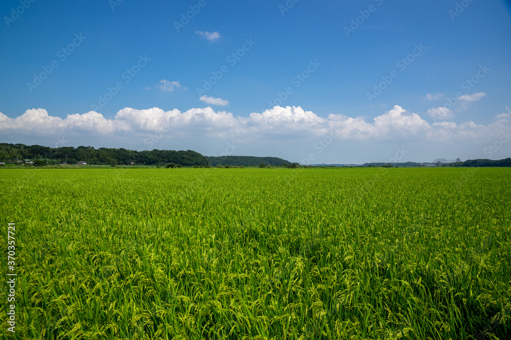 田園風景 田園風景