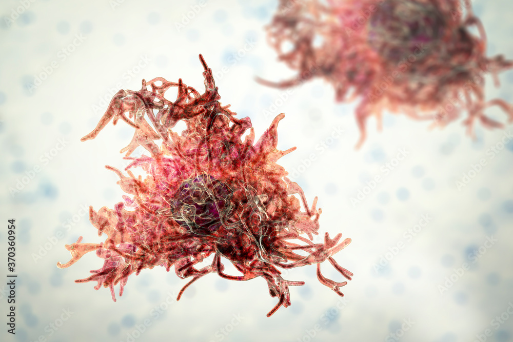 Human parasitic amoeba with pseudopodia