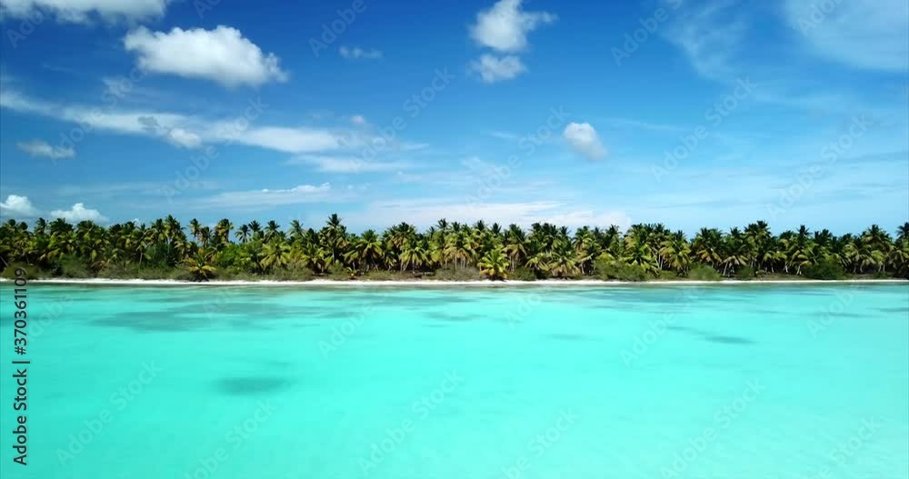 Panoramic aerial front view of a wild tropical beach with coconut palm trees and white sand. Turquoise water in the natural pool of the Caribbean sea. Calm and relax background
