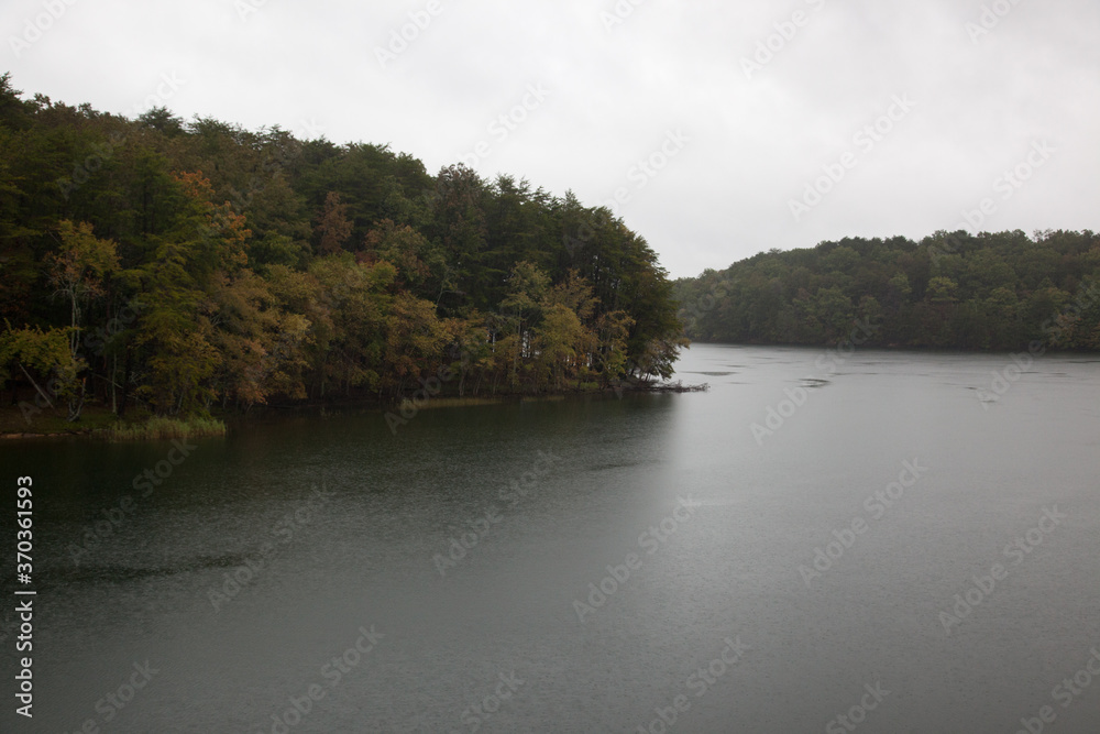 Lake in the morning with trees on the bank Lake in the morning with trees on the bank