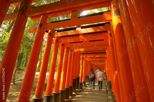 TORII  many Japanese religious objects lined in the shrine