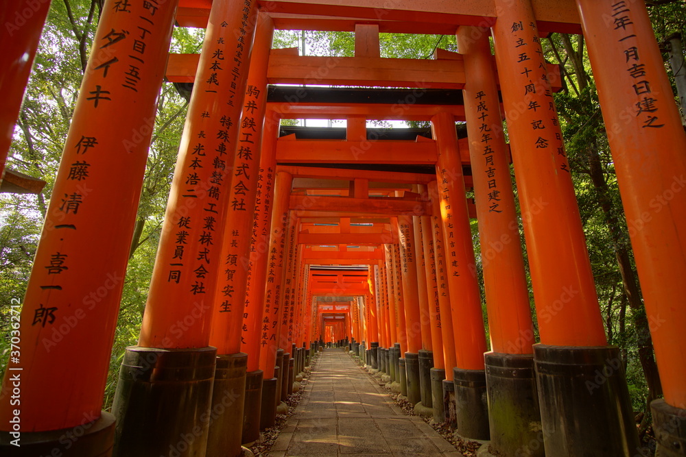 TRII, in  Fushimi Shinto shrine, Kyoto, Japan