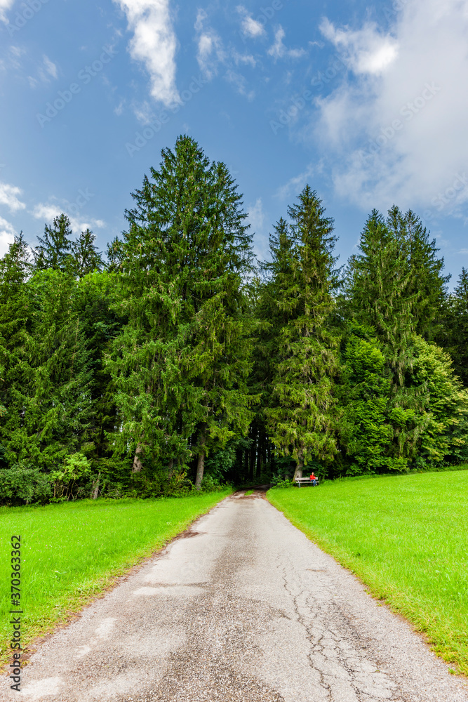 Wanderweg über Grüne Wiesen und Wald