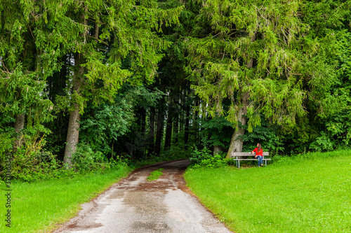 Wanderweg über Grüne Wiesen und Wald
