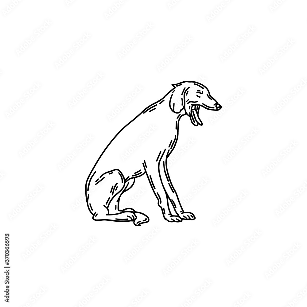 Vector hand drawn illustration of yawning persian greyhound dog