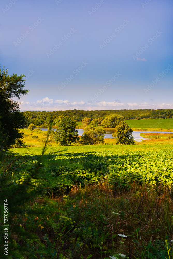 Lake and field surrounded by impenetrable forest Lake and field surrounded by impenetrable forest
