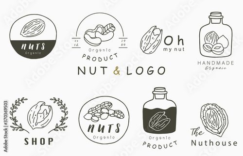 nuts collection logo with hazelnut,walnut,peanut.Vector illustration for icon,logo,sticker,printable and tattoo