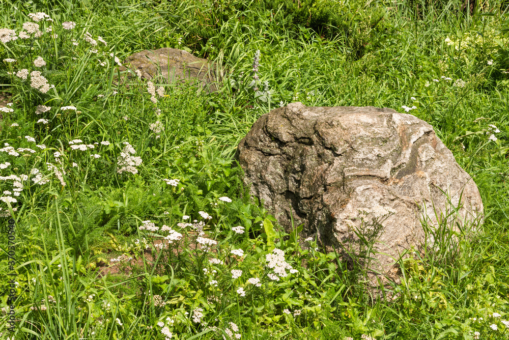 Element of landscape design, rockery in the yard - large natural boulders in the grass