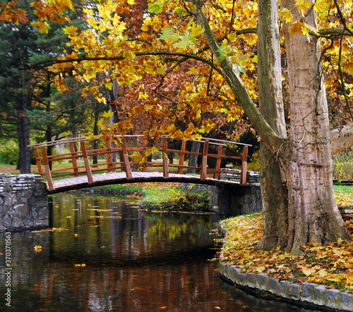 Wooden bridge and autumn forest in the park. Reflection in the lake.