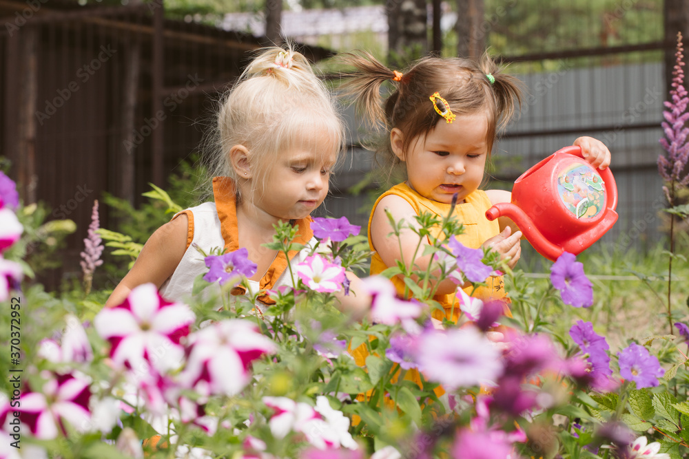Two little girls sisters watering flowers Two little girls sisters watering flowers