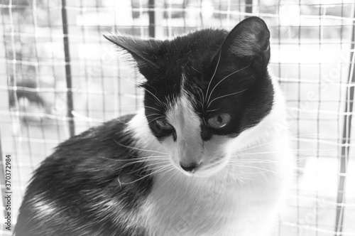 Gataza