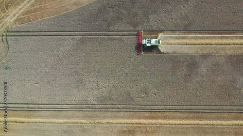 a combine harvests a field of grain in fine weather4 photo