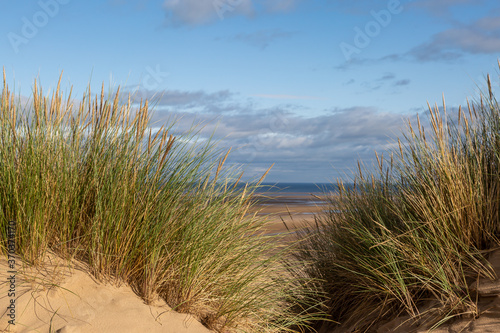 Marram Grass Covered Sand Dunes and the Beach Beyond