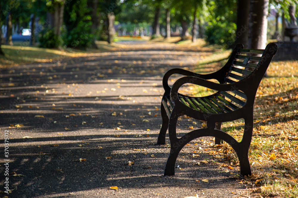 an empty metal memorial bench in a park in late summer
