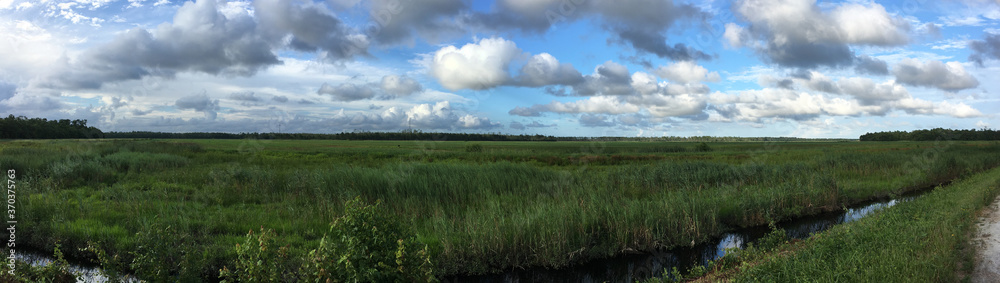 Fields in Alligator River National Wildlife Refuge, North Carolina