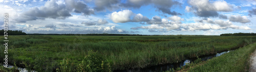 Fields in Alligator River National Wildlife Refuge, North Carolina