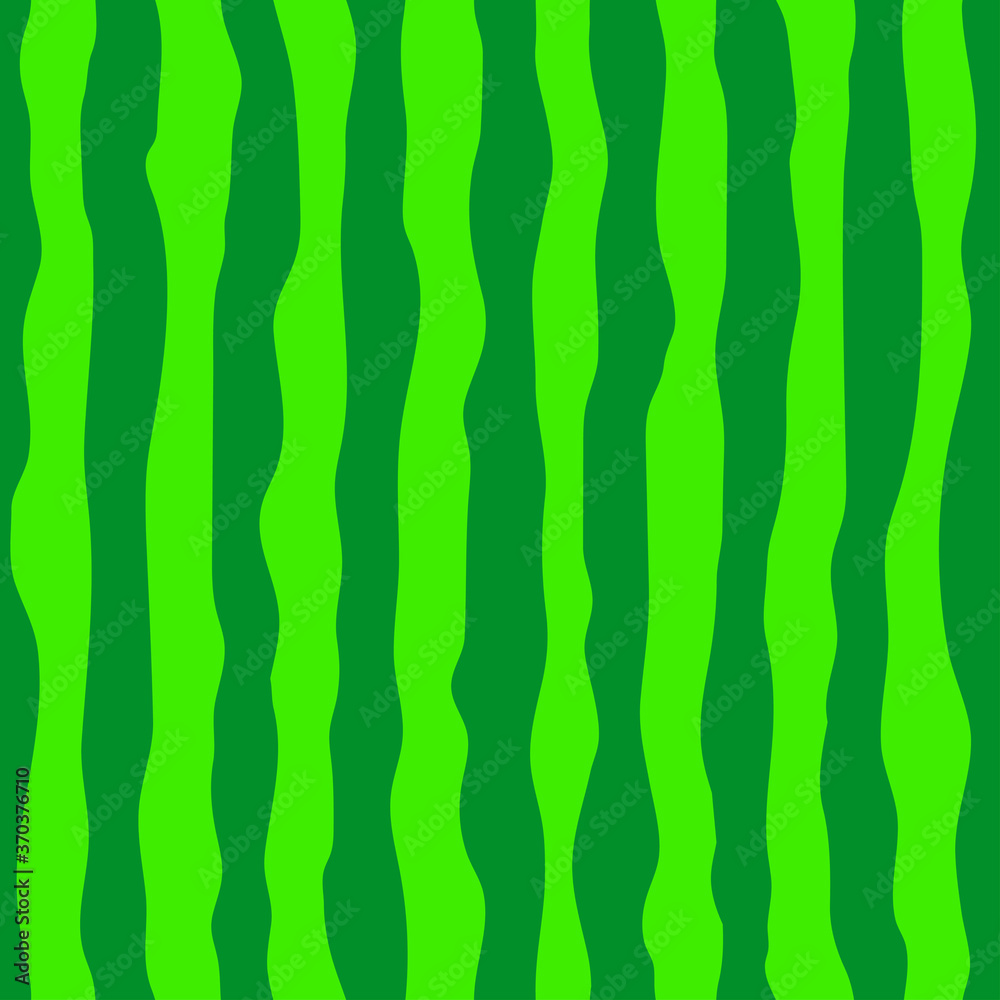 Fototapeta premium Watermelon green rind seamless pattern.