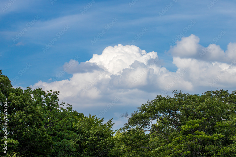 夏空 夏空