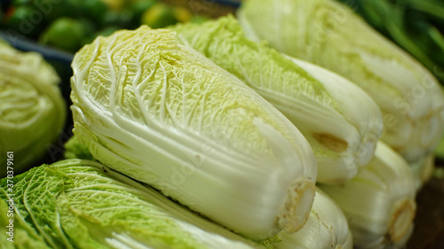 Sawi putih or white chicory as fresh vegetables at traditional market 