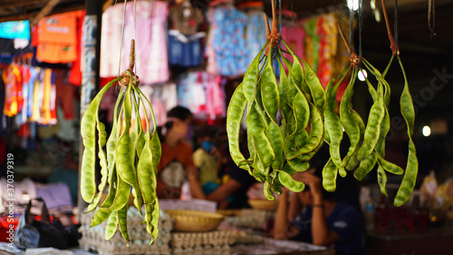 Принти на полотні Fresh and green stinky petai or pete for traditional food and dish from Indonesi