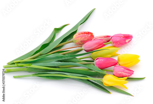 Fototapeta Naklejka Na Ścianę i Meble -  Colorful bouquet of tulips.