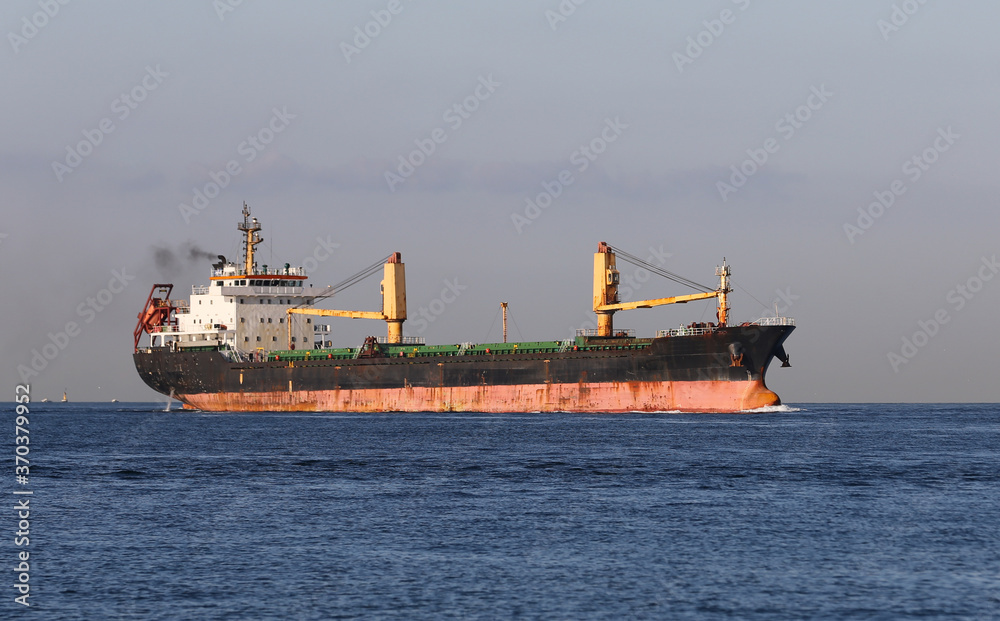 Fototapeta premium Cargo Ship in Sea