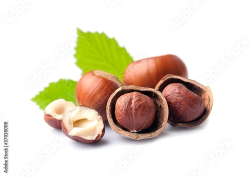 Photos Ripe filbert nuts