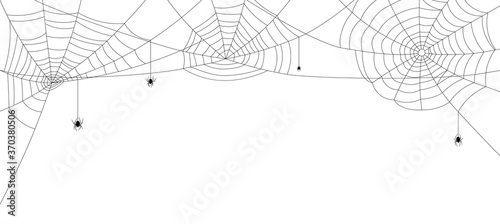 Four spiders hanging down from spiderwebs.