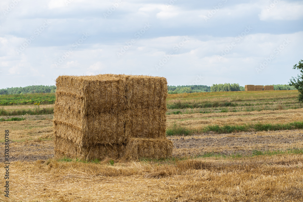 Big sheaf of hay on the field