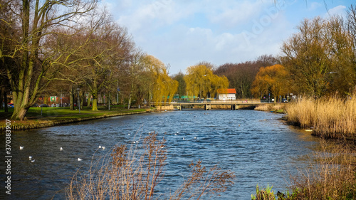 Water in Rotterdam - typical dutch canal in Holland 