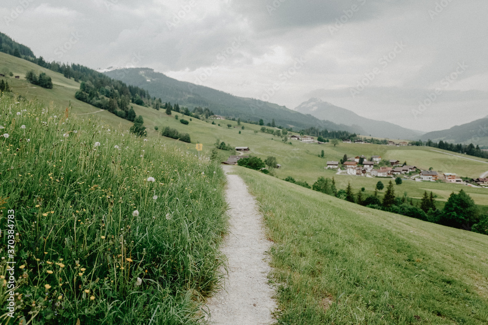 Fototapeta premium Weg zur Alm