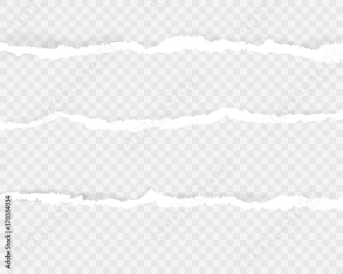 Ripped paper strips realistic.