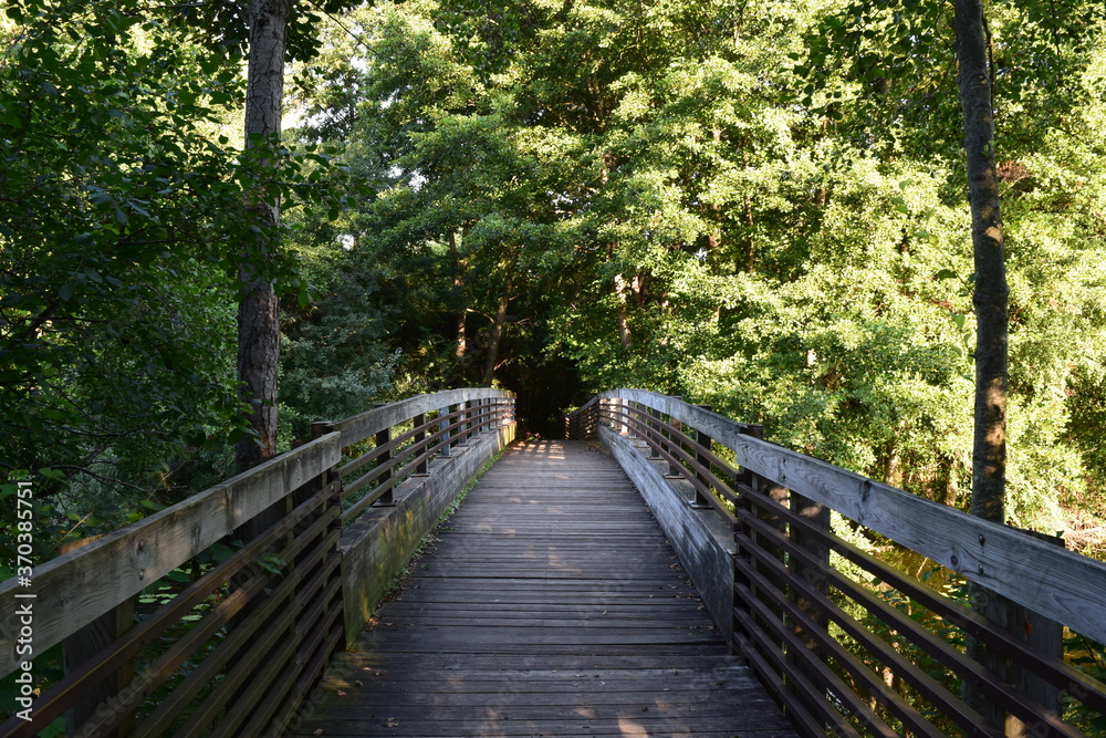 Wooden bridge surrounded by trees in a park