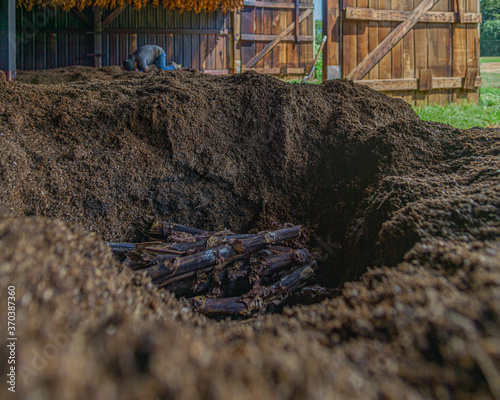 tobacco dark-fire curing process