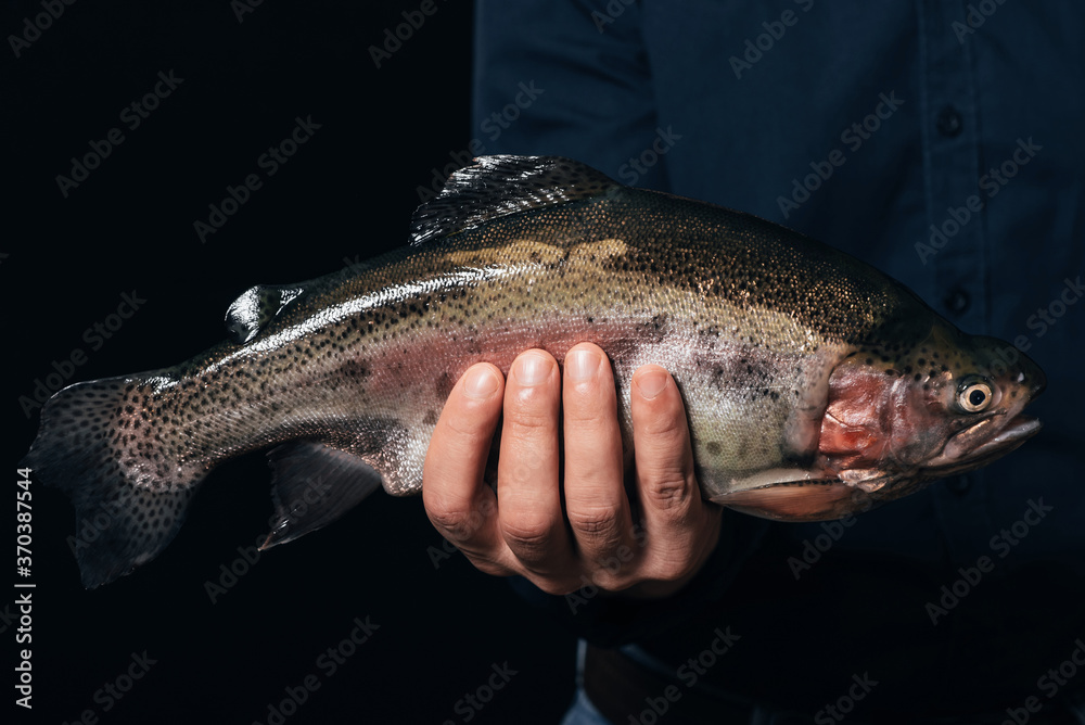 big fish in man's hand on black background. Rainbow trout big fish in man's hand on black background. Rainbow trout
