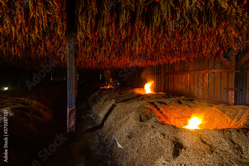 tobacco dark-fire curing process