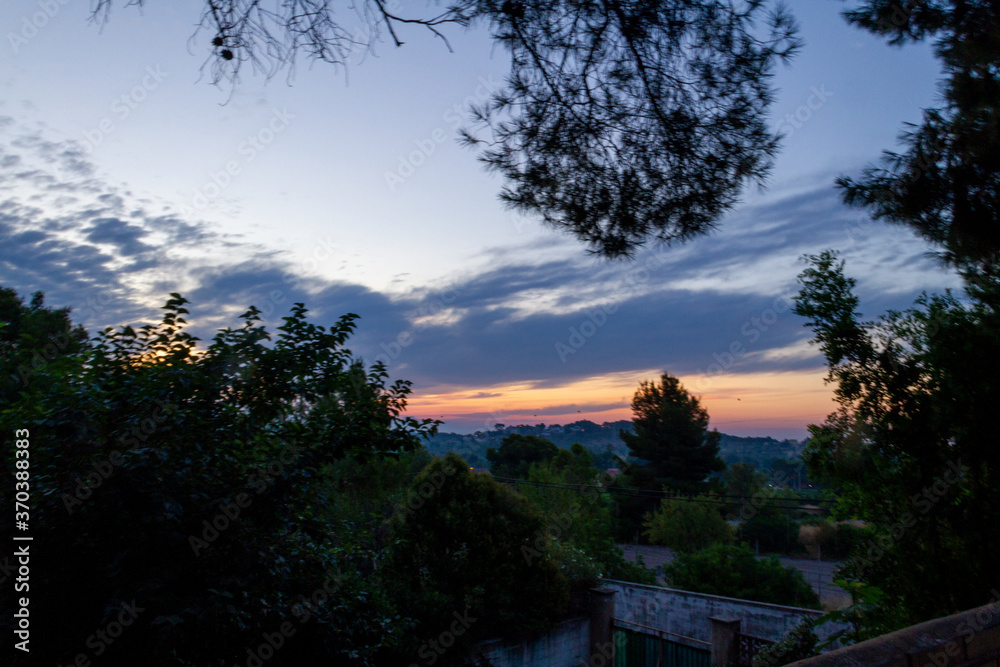 Landscape of a sunrise with orange and blue tones with pine trees in the foreground